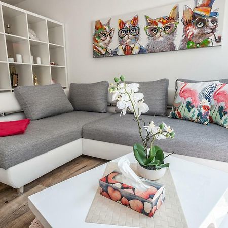 Moderne Souterrain-Wohnung Anif Kültér fotó
